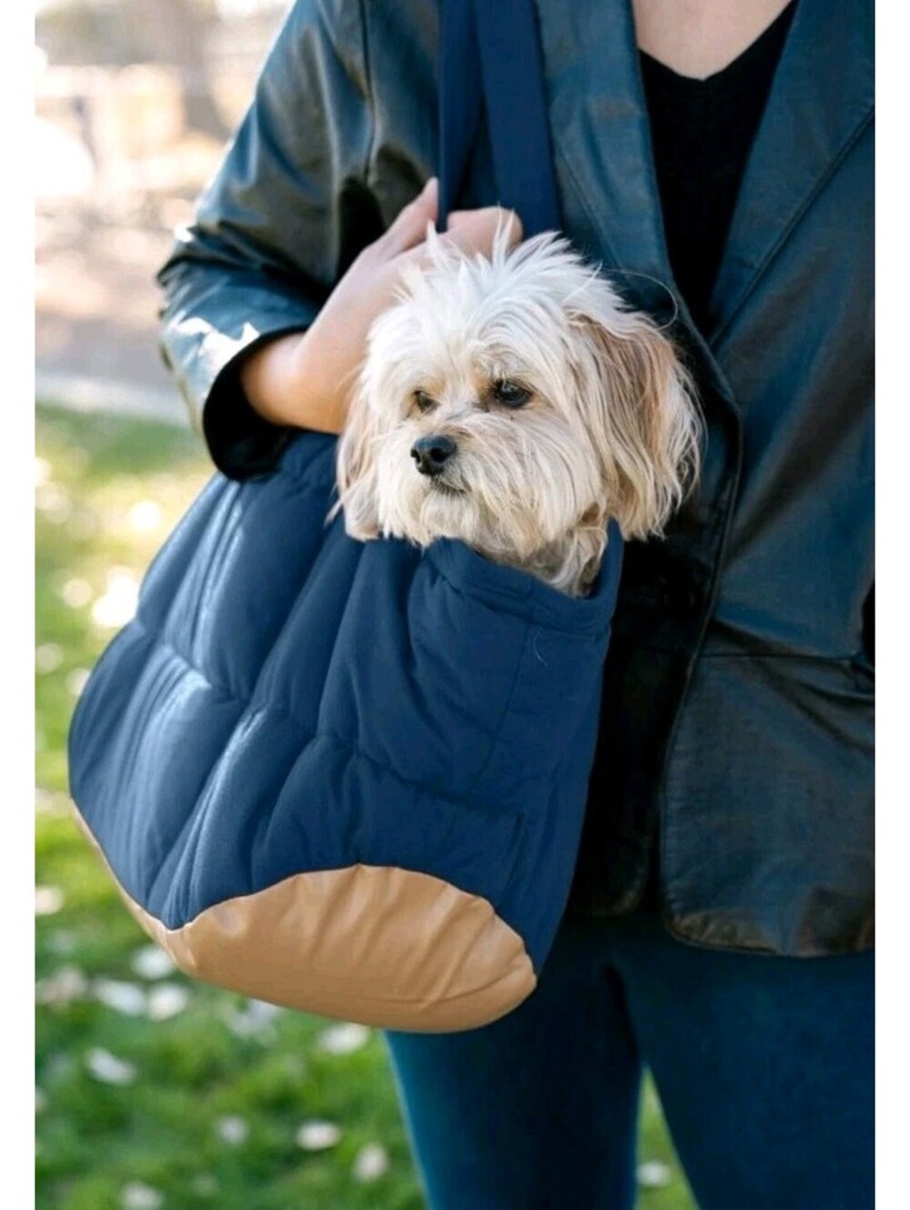 Pet Dog Carrier Soft-sided Purse Noblepup Brand Small Dog 7-15 lbs. Tote NEW
